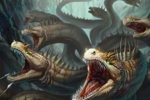Kraken 14at