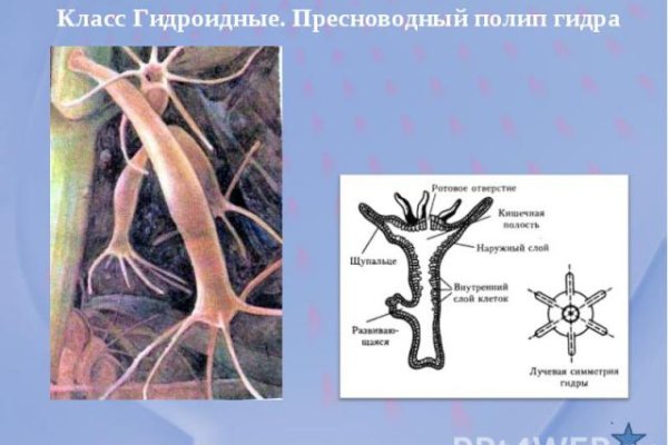 Кракен переход