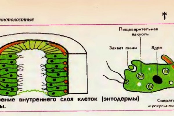 Кракен даркнет сайт ссылка